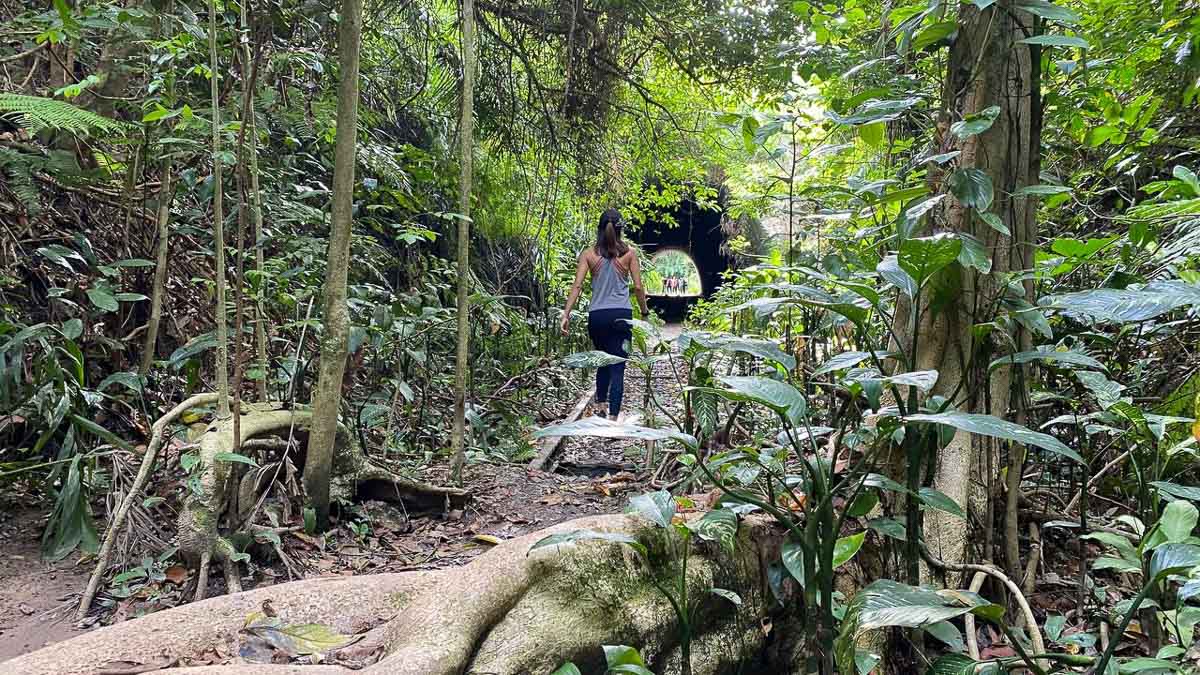 Girl hiking into tunnel at Clementi Forest in Singapore