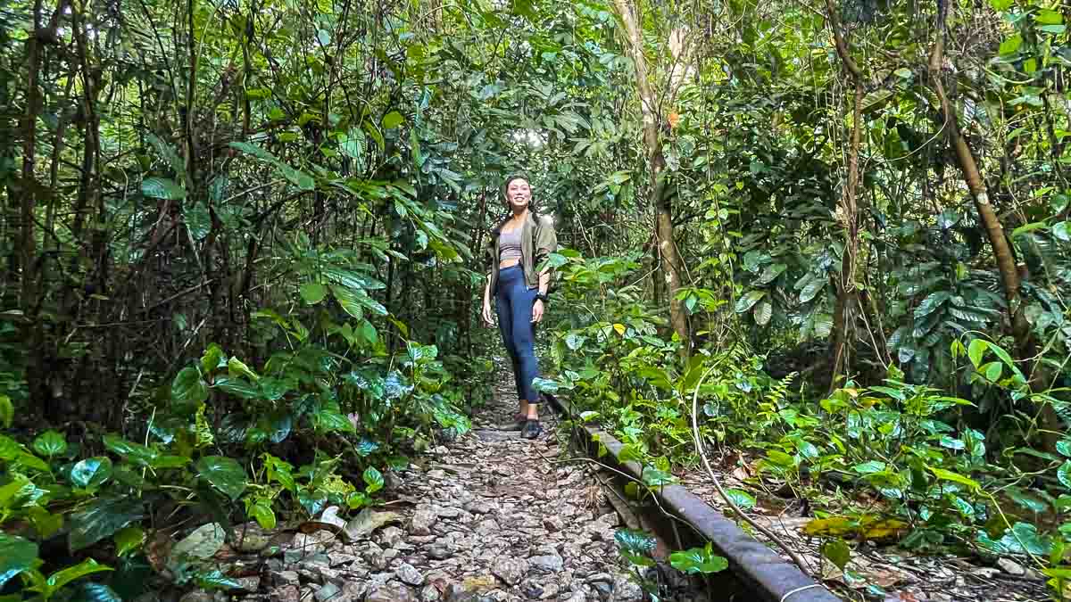Clementi Forest Railway Track - Things to do in Singapore