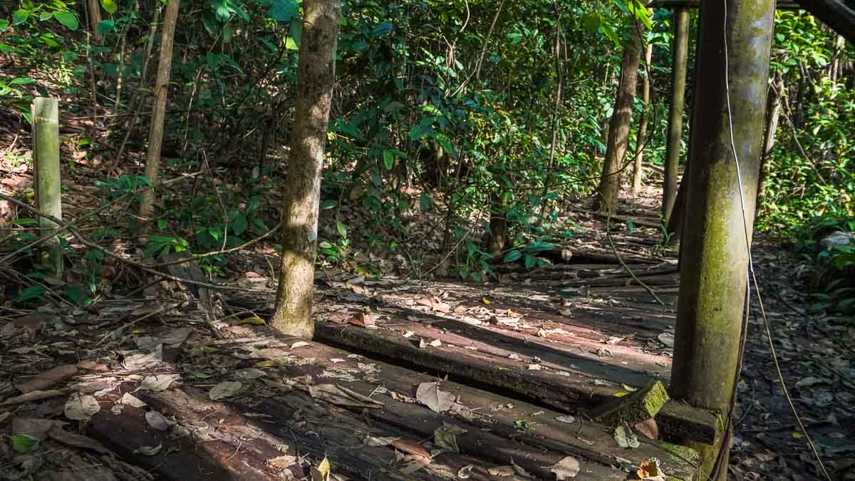 Uneven wooden walkway - Things to do in Singapore