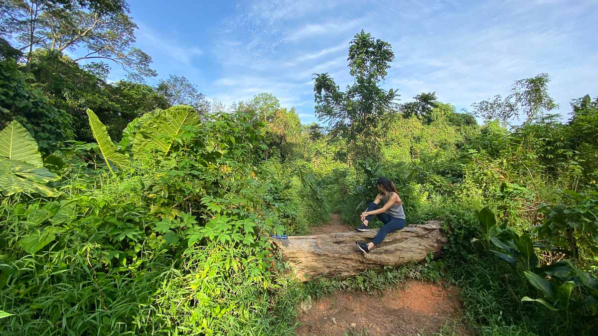 Log on route of Clementi Forest Hike in Singapore