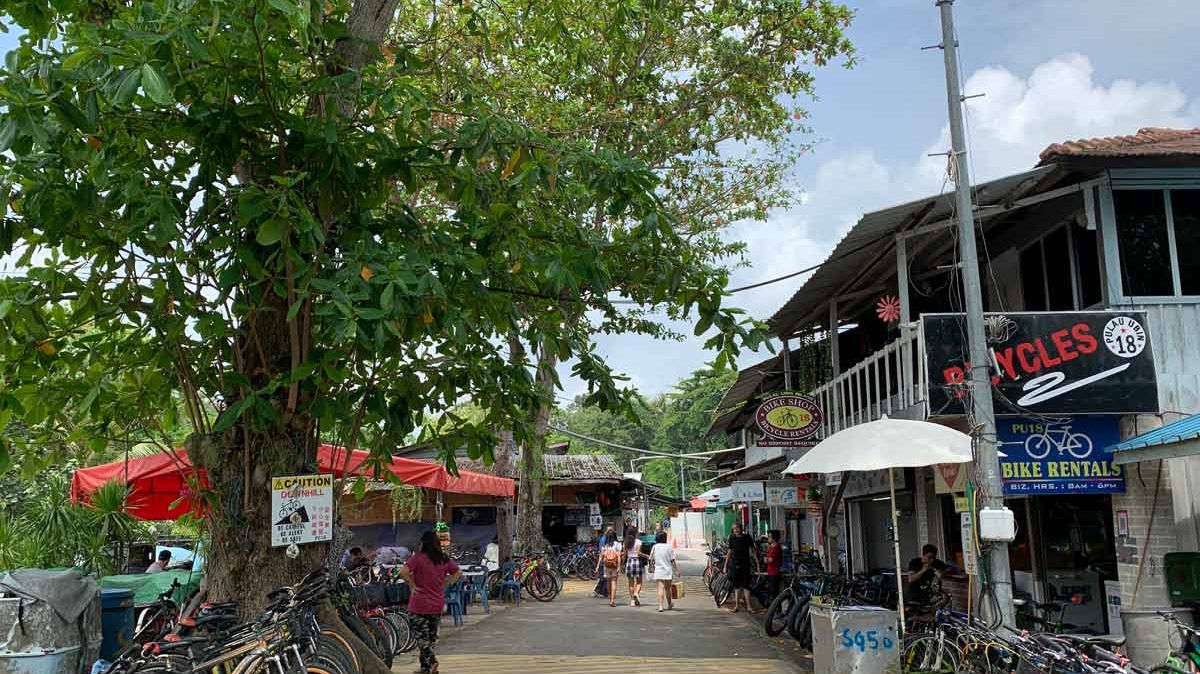 Main Village Bicycles - Pulau Ubin Things to do