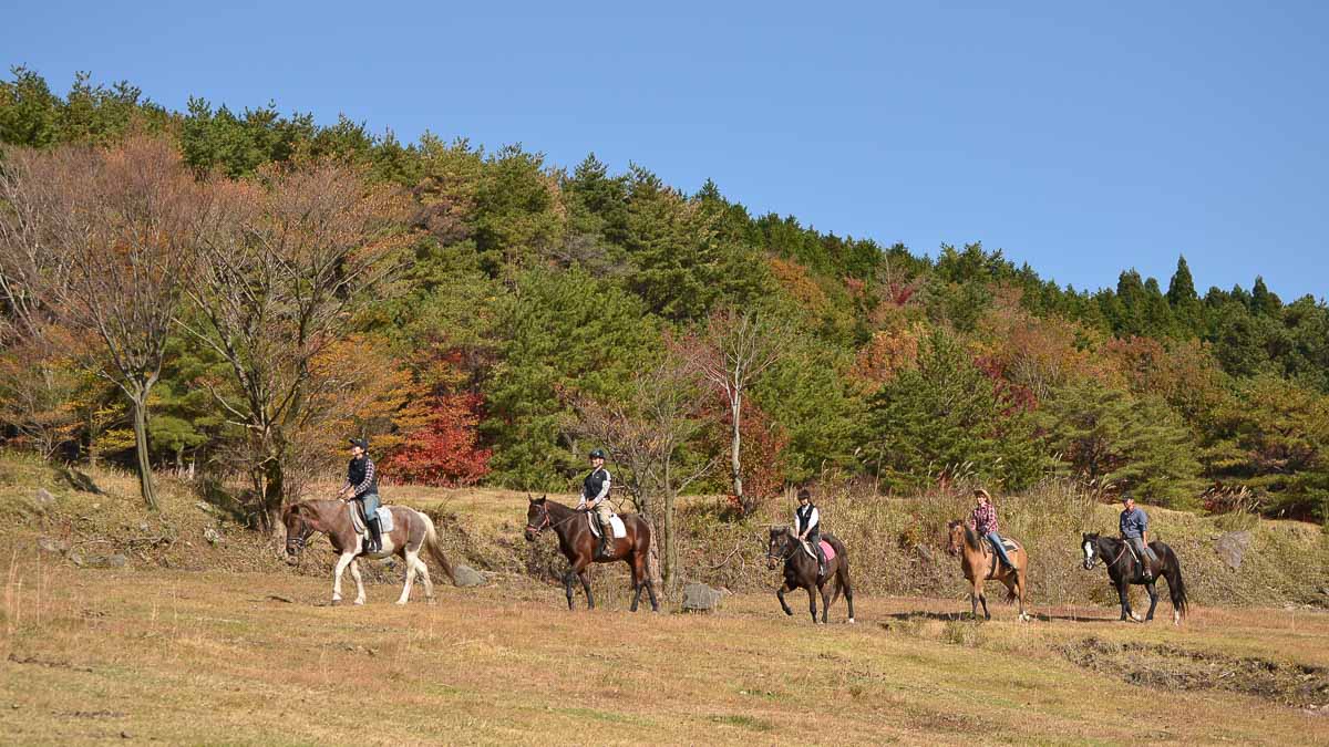 Mt Kurino Kirishima Art Ranch Horse Riding - Japan National Parks