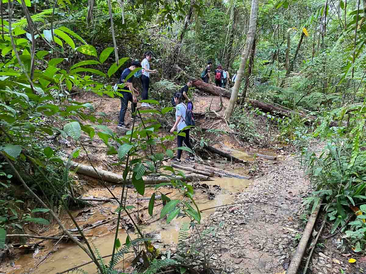 Muddy path beside railway tracks - Hiking the forest in Clementi in Singapore