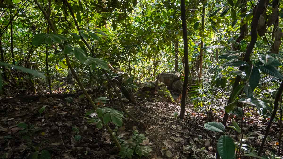 Bukit Batok Hillside Park - Abandoned Places