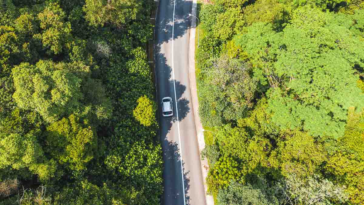 South Bouna Vista Road Flatlay of BlueSG - Singapore Road Trip