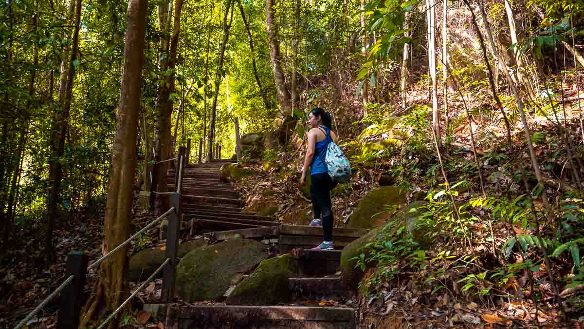 Steps along the Dairy Farm Loop hike - Dairy Farm Nature Park