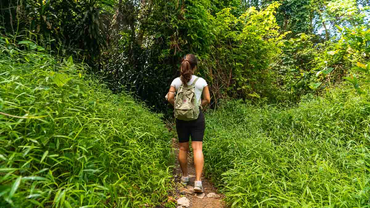 Venus Loop Trail - Unique Nature Spots in Singapore