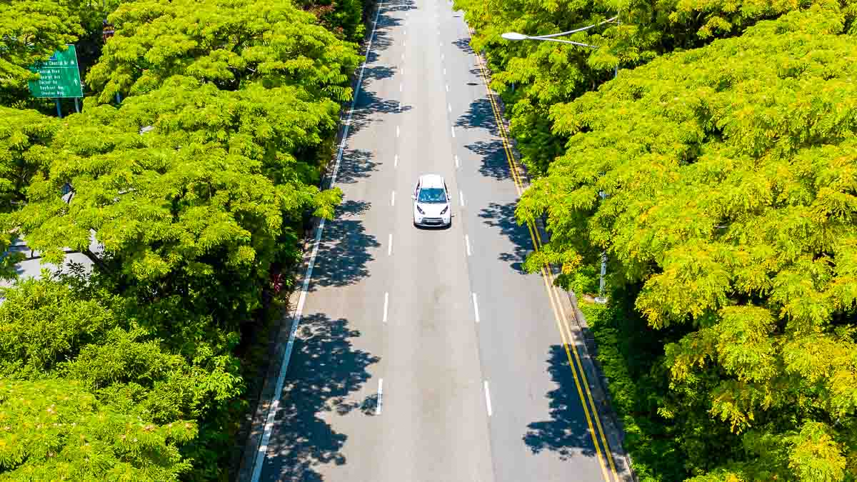 BlueSG Car Drone Shot - Singapore Road Trip