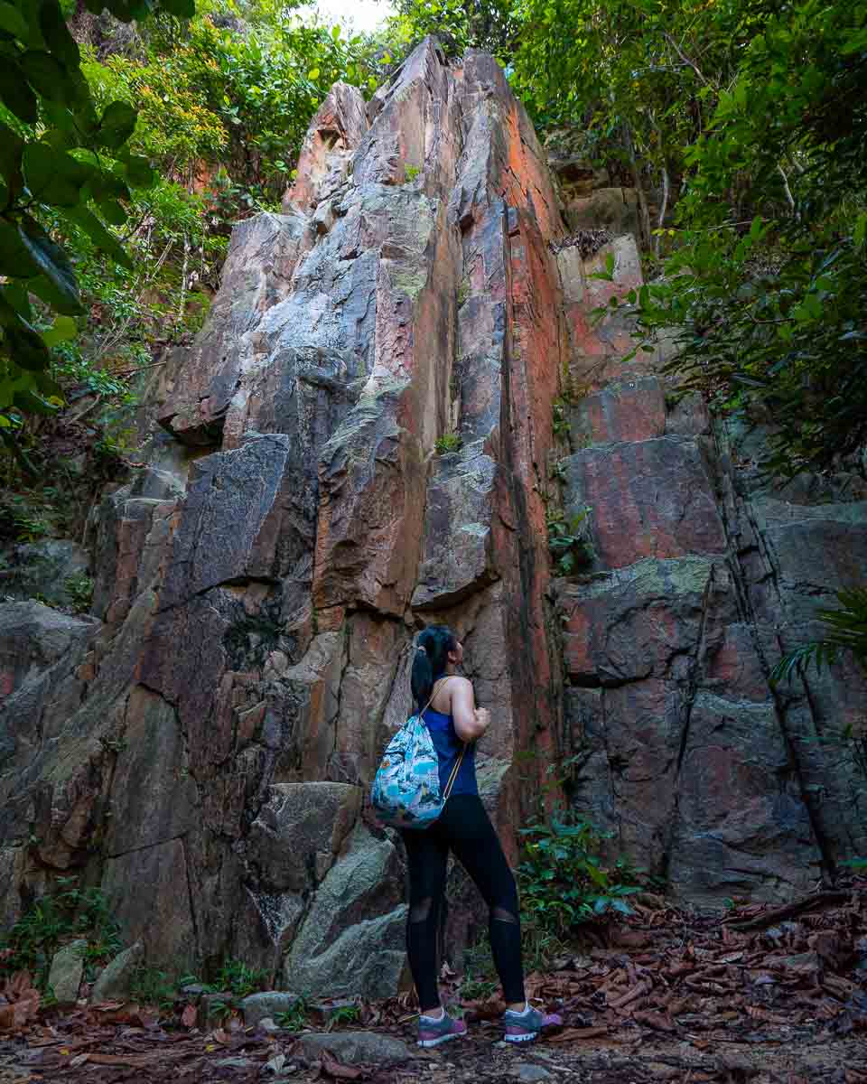 Climbing wall at Dairy Farm Nature Park - Dairy Farm Nature Park Hiking in Singapore