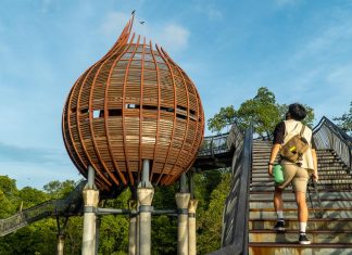 Featured - Hiking Trails in Singapore