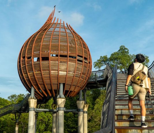 Featured - Hiking Trails in Singapore