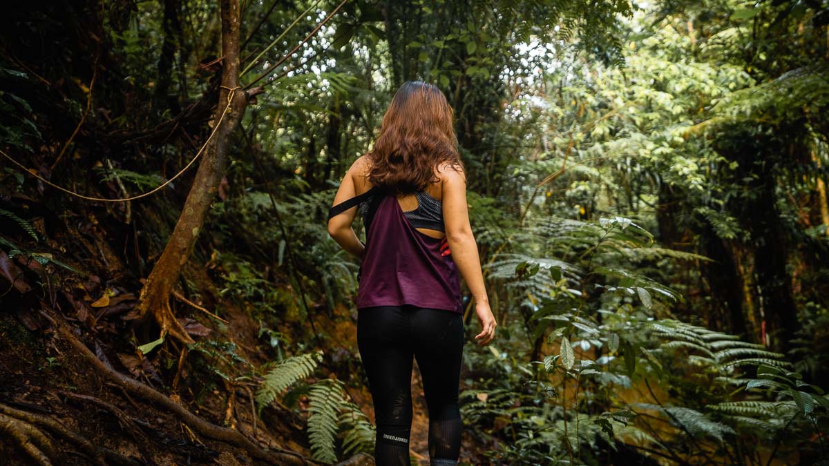 Hiker in Clementi Forest - Hiking Trails in Singapore