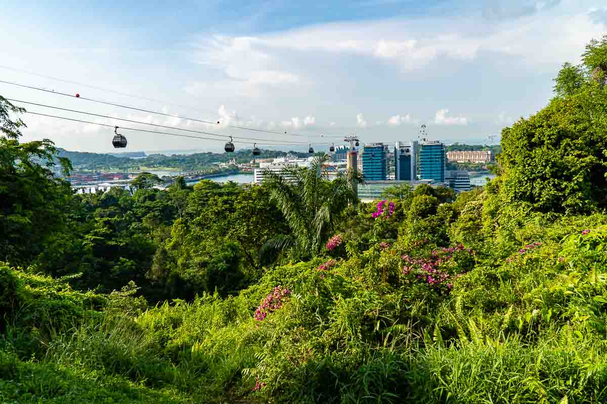 Keppel Hill Reservoir Hike On Route to Mount Faber - Hiking Trails in Singapore