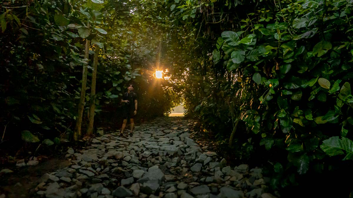 Route to Dairy Farm Quarry rocky terrains - Dairy Farm Nature Park Hiking in Singapore