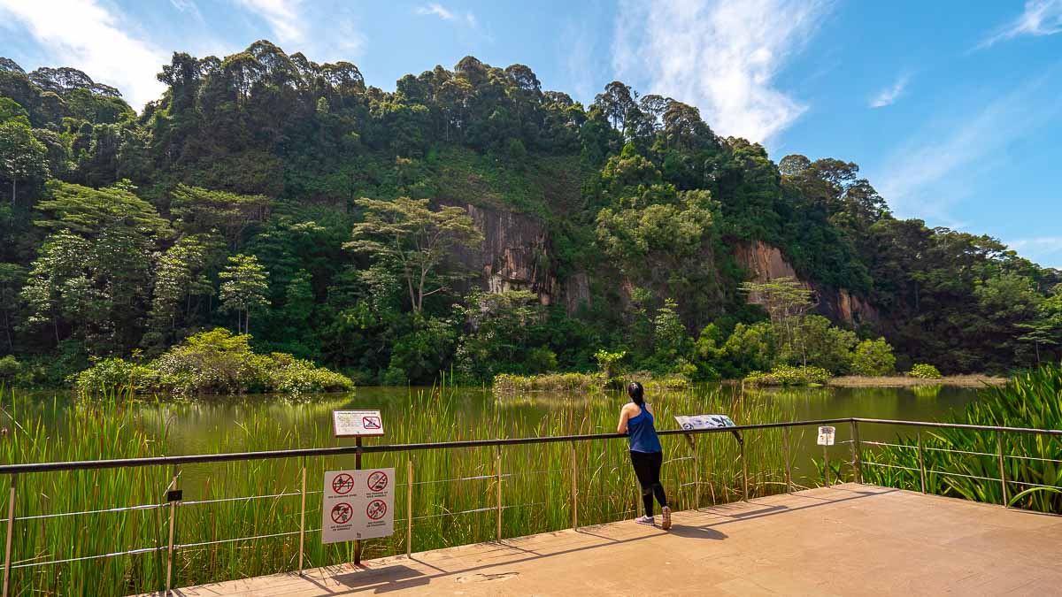 Singapore Quarry at Dairy Nature Farm in the morning - Dairy Farm Nature Park Hiking in Singapore