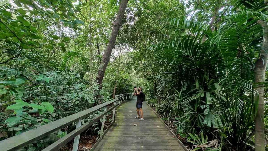 Berlayer Creek boardwalk - Labrador Park Guide