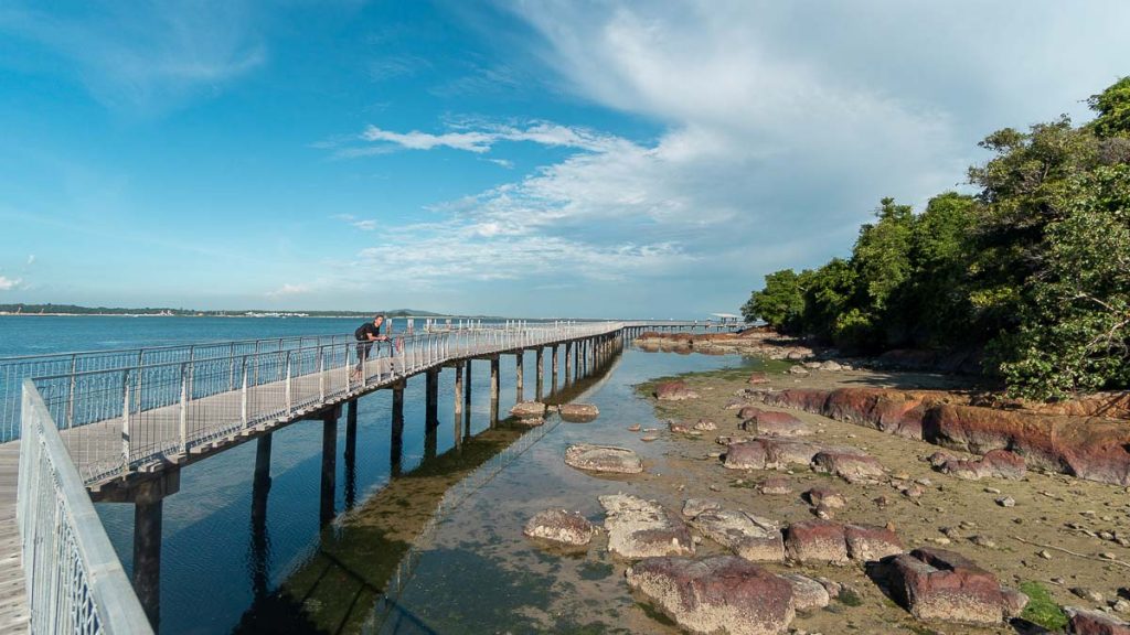 Coastal Boardwalk Chek Jawa Wetlands - Things to do at Pulau Ubin