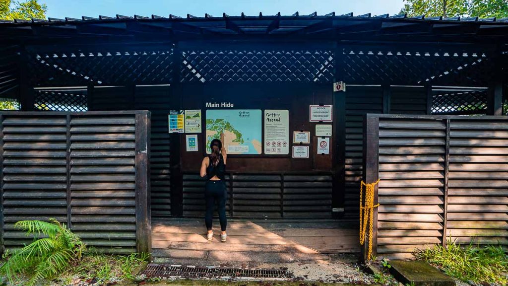 Hike at the Entrance to Main Hide at Migratory Bird Trail - Best Hikes in Singapore