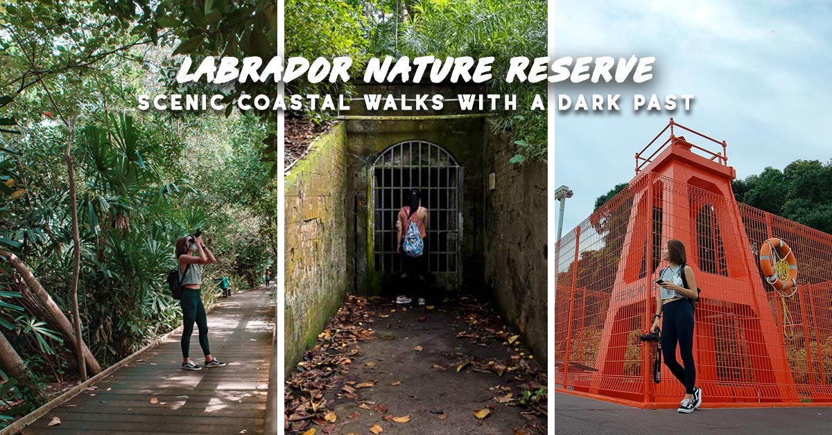 Labrador Nature Reserve — Scenic Coastal Walk with WWII Tunnels and Relics