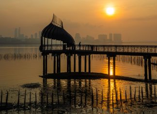 Hiking Sungei Buloh Wetland Reserve — Instagrammable Pods, Coastal Boardwalks, and Crocodiles