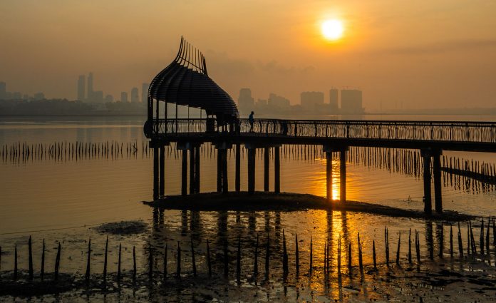 Feature - Sungei Buloh Wetland Reserve