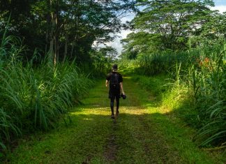 Singapore’s Rail Corridor — Lesser Known Instagrammable Photo Spots to Look Out For