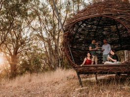 Nido Experience Wine Tasting Nest Adelaide Hills - Things to do in Australia