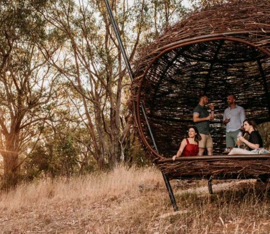 Nido Experience Wine Tasting Nest Adelaide Hills - Things to do in Australia