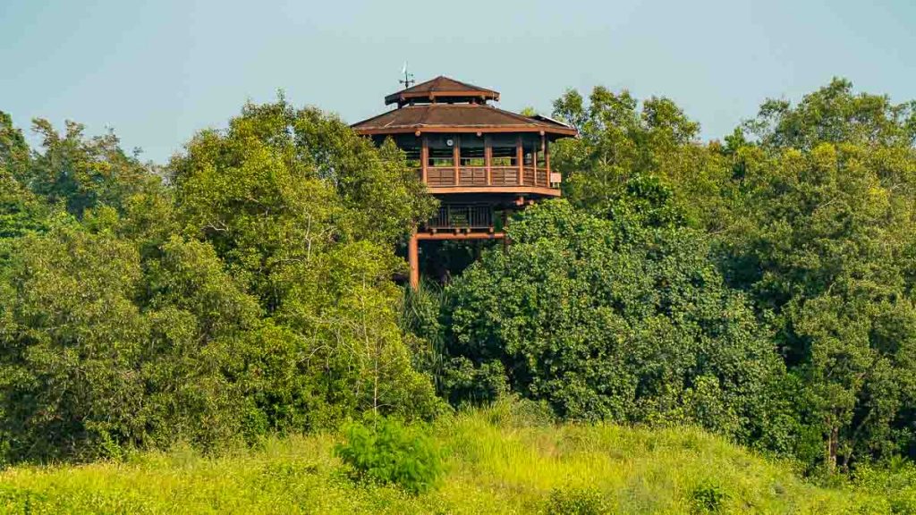 Migratory Bird Trail Aerie Tower - Sungei Buloh Wetland Reserve Guide