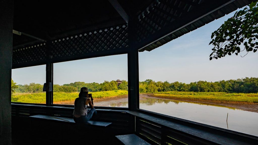 Migratory Bird Trail Main Hide View from Interior - Sungei Buloh Wetland Reserve Guide 