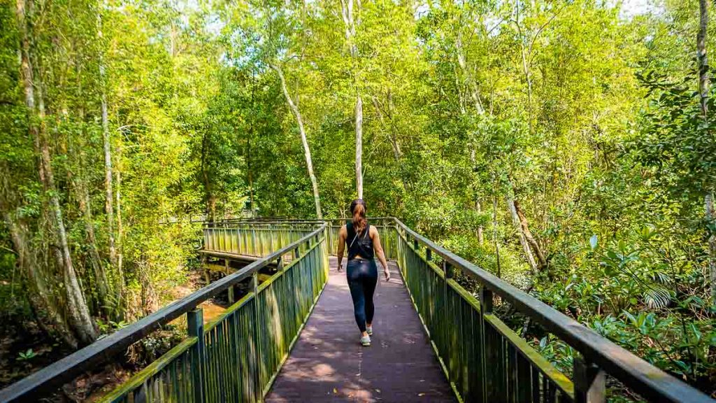 Migratory Bird Trail Mangrove Boardwalk - Sungei Buloh Nature Reserve Guide