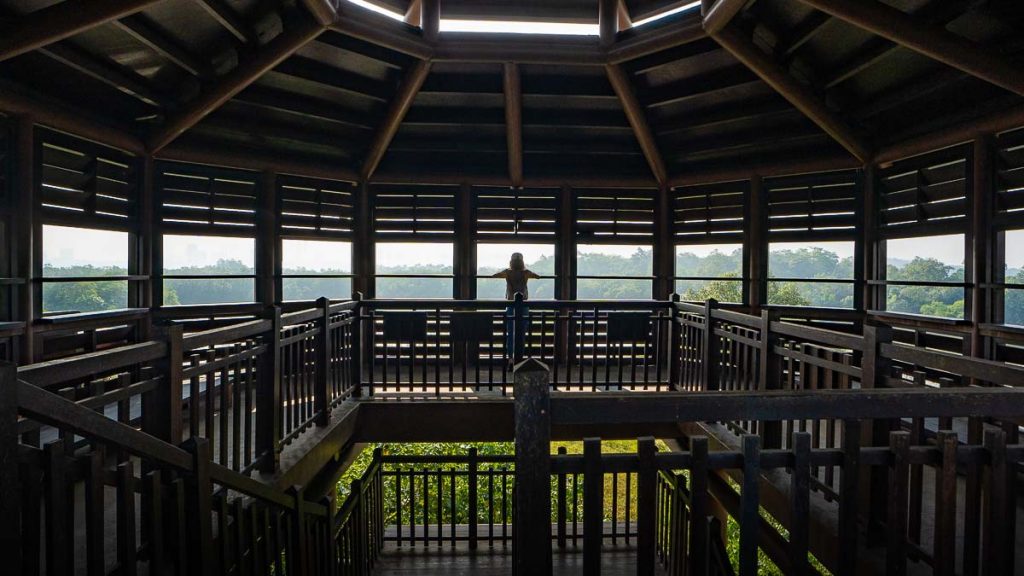 Migratory Bird Trail Top of Aerie Tower - Best Hikes in Singapore