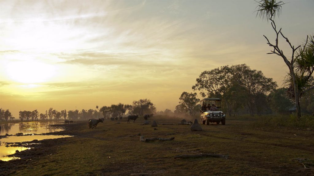 Northern Territory Kakadu National Park Bamurru Plains Safari Drive - Socially Distanced Things to do in Australia