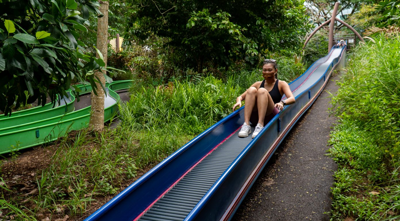 15-outdoor-activities-in-singapore-for-families-activities-in