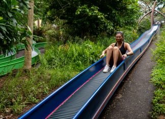 7 Outdoor Playgrounds in Singapore We Wish We had as Kids