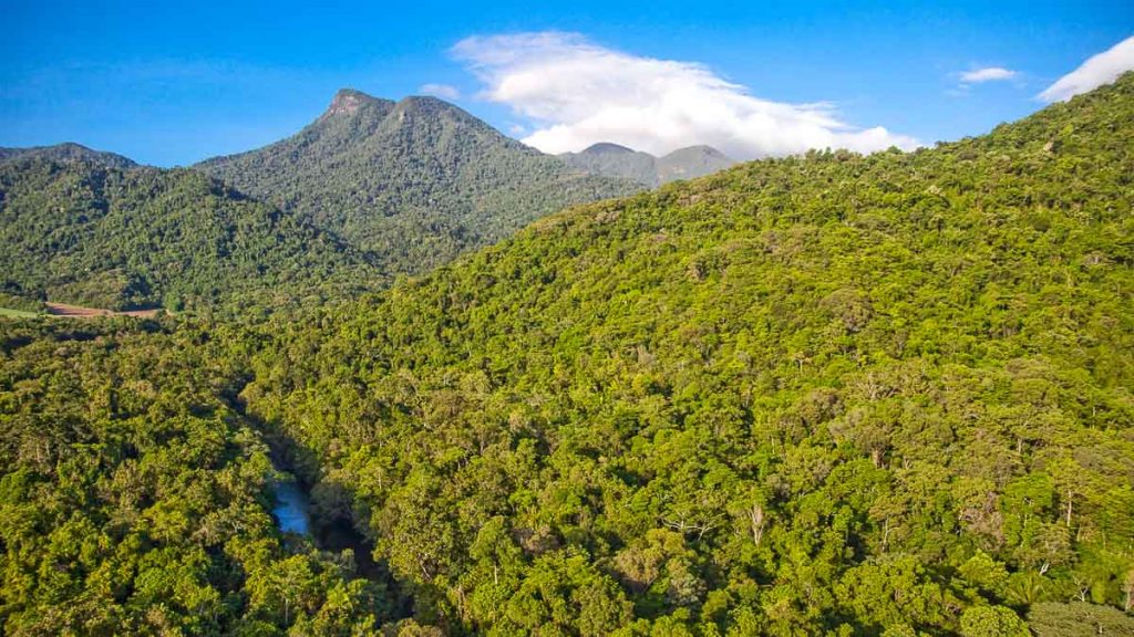 Queensland Daintree Rainforest Drone Shot - Travel Bucket List