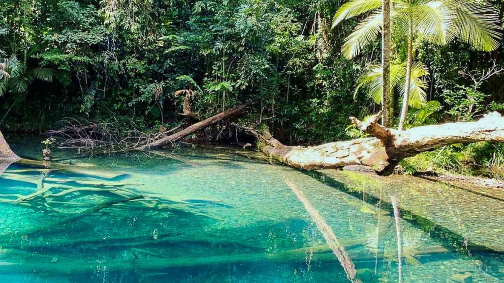 Queensland Daintree Rainforest Waterholes - Post COVID Travel Bucket List