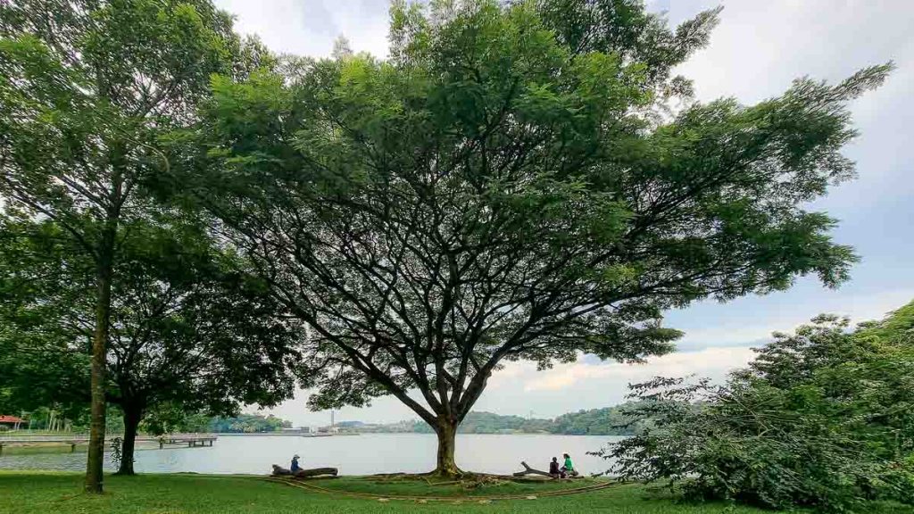 Rest area next to Bukit Chermin Boardwalk Labrador Park - Labrador Nature Reserve