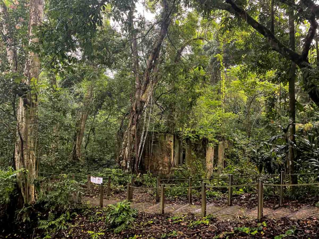 Ruines de la maison 21 Wong Family au parc naturel de Thomson - Randonnée à Singapour