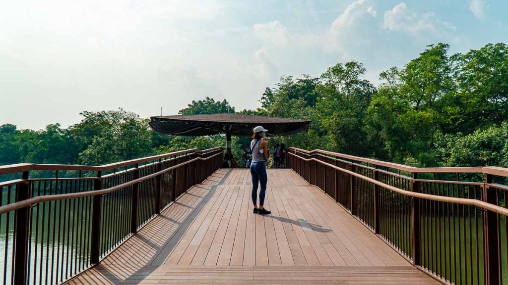 Singapore Nature Parks Migratory Bird Trail Main Bridge - Sungei Buloh Wetland Reserve Guide
