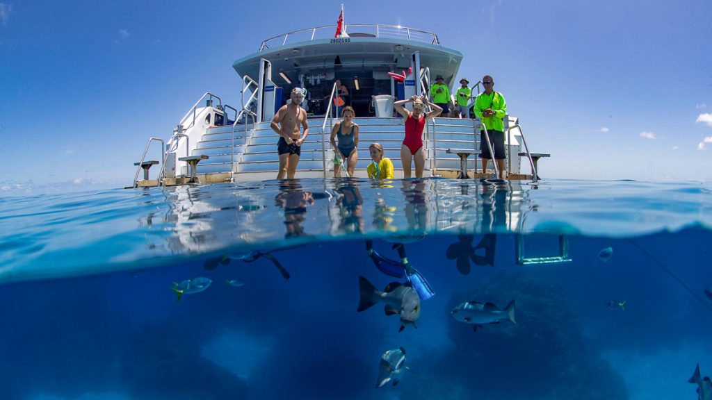 Snorkelling with Fishes at the Great Barrier Reef - Best of Great Barrier Reef