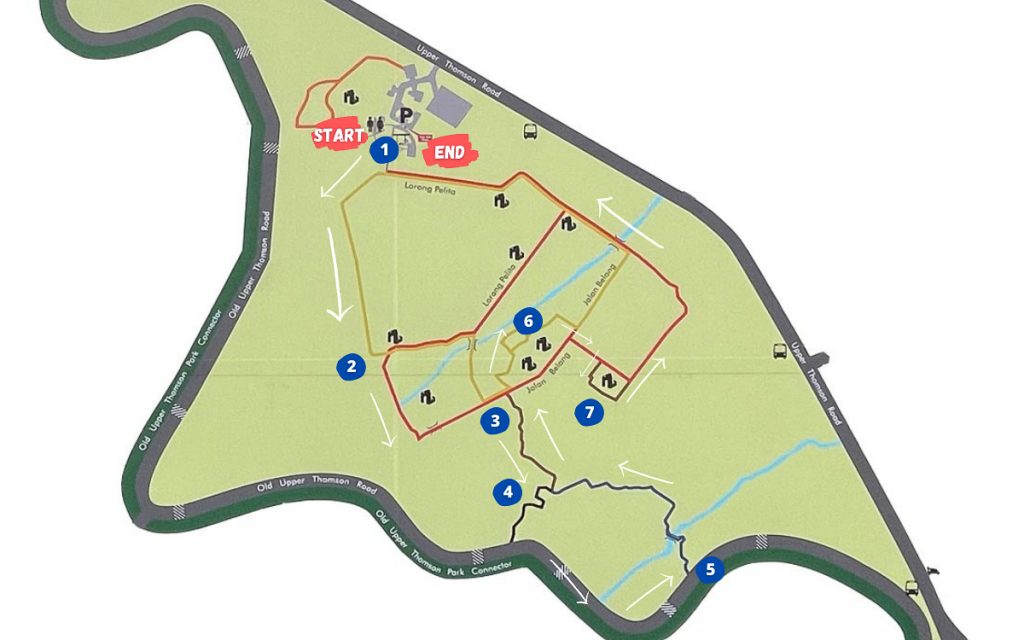 The Travel Intern's Suggested Route at Thomson Nature Park - Hiking in Singapore