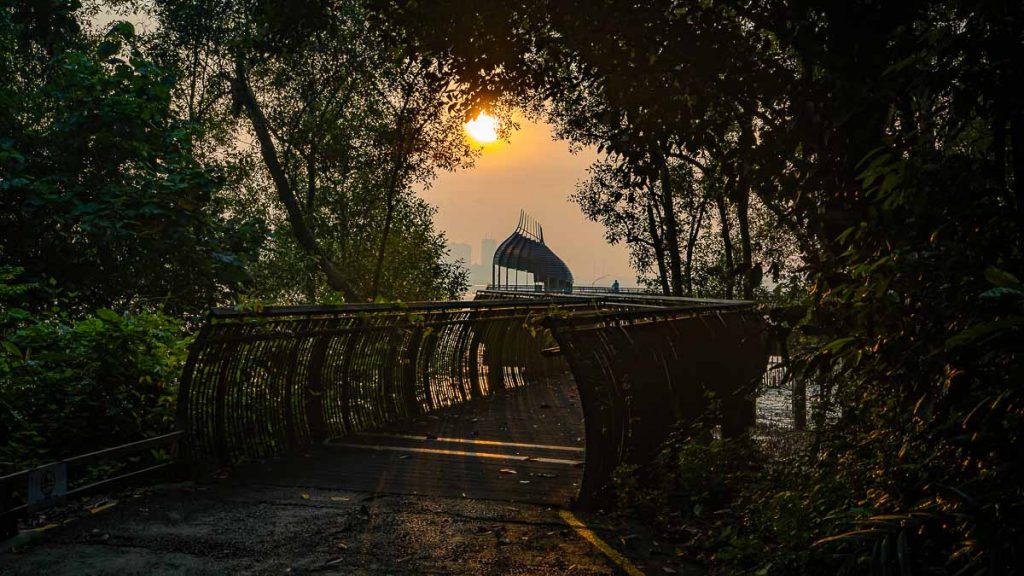 Sunrise along Coastal Trail Eagle Pod - Sungei Buloh Wetland Reserve Guide