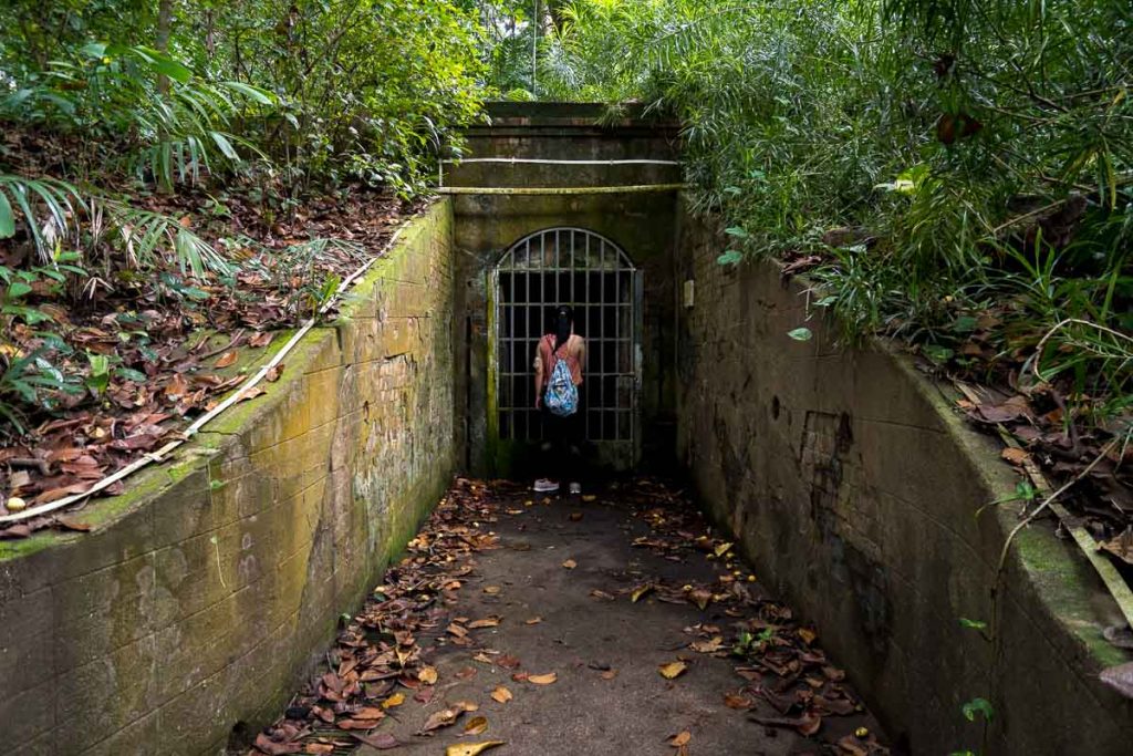 Tunnel Entrance - Labrador Nature Reserve-29