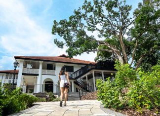 Singapore Botanic Gardens’ New Gallop Extension — IG-Worthy Art Galleries in British Colonial Houses, a New Hiking Trail and Playground Featured Image – Singapore Botanic Gardens Gallop Extension