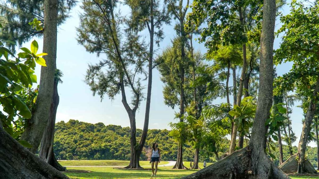 Girl Walking Among Tall Trees In St John Island – Southern Island