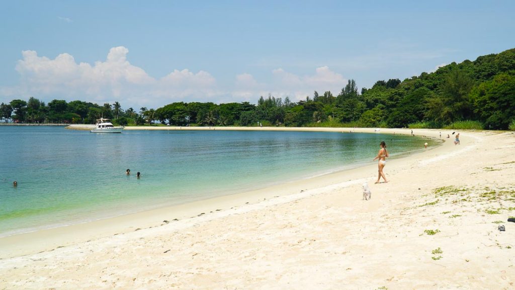 Girl walking on the beach with her pet - Singapore Southern Island