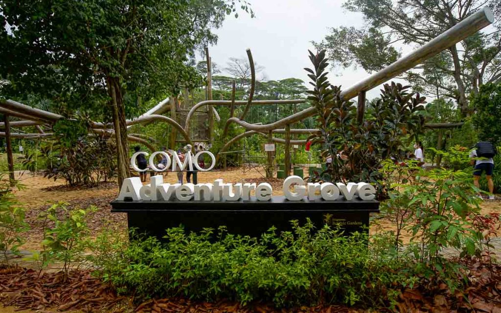 COMO Adventure Grove at Singapore Botanic Gardens