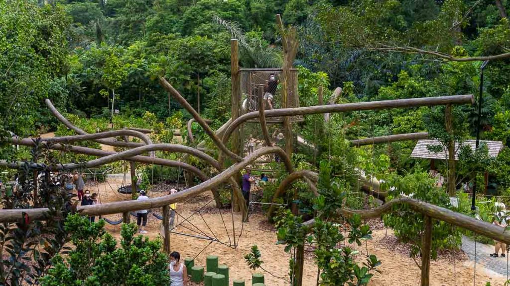 Boy Climbing at COMO Adventure Grove — Outdoor Playgrounds in Singapore

