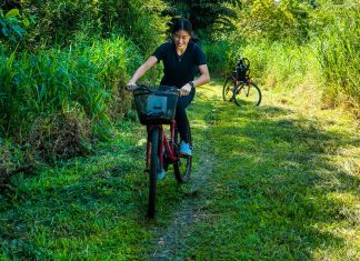 Cycling on Pulau Ubin — A Scenic 9-Hour Route Around The Island’s Best Sights Pulau Ubin's Ketam Mountain Bike Park — Things to do in Singapore